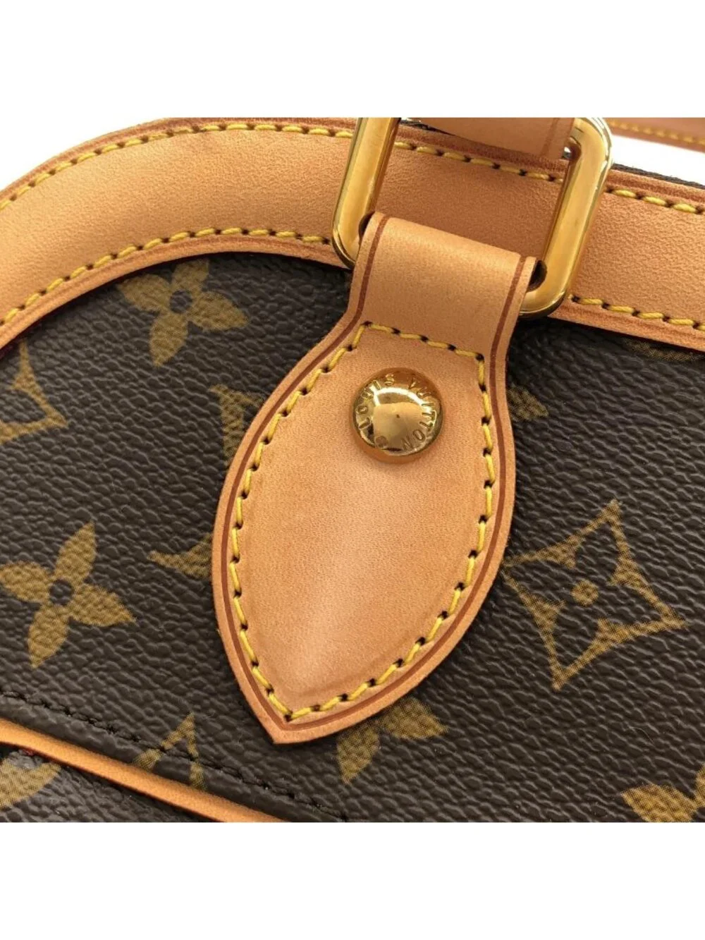 Louis Vuitton Monogram Trevi PM Bag